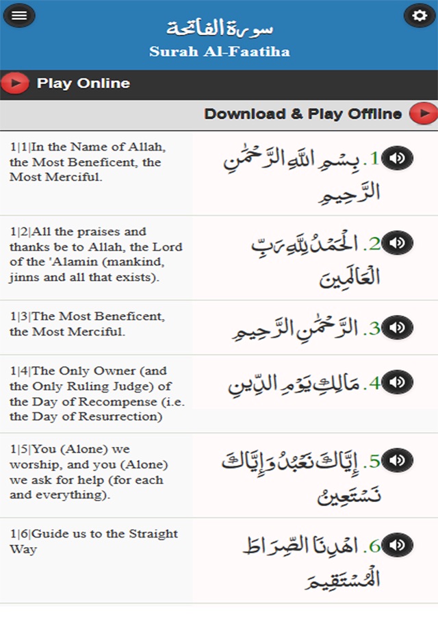 Quran Insight screenshot 2