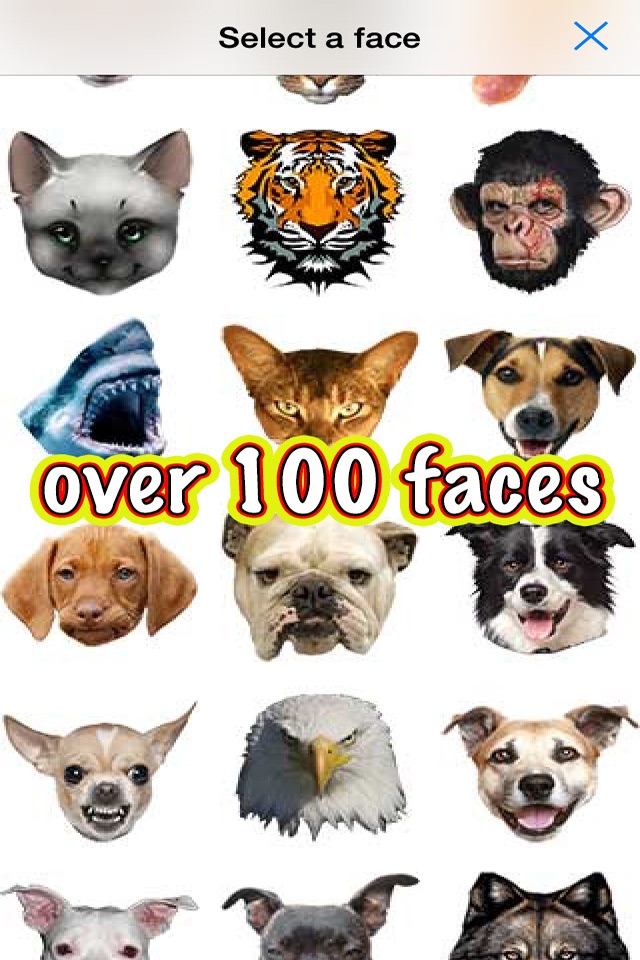 Animal Cam - Swap your face with the head of funny animals such as: cats, dogs, bears, pigs, wolfs, fish or birds from your camera screenshot 3