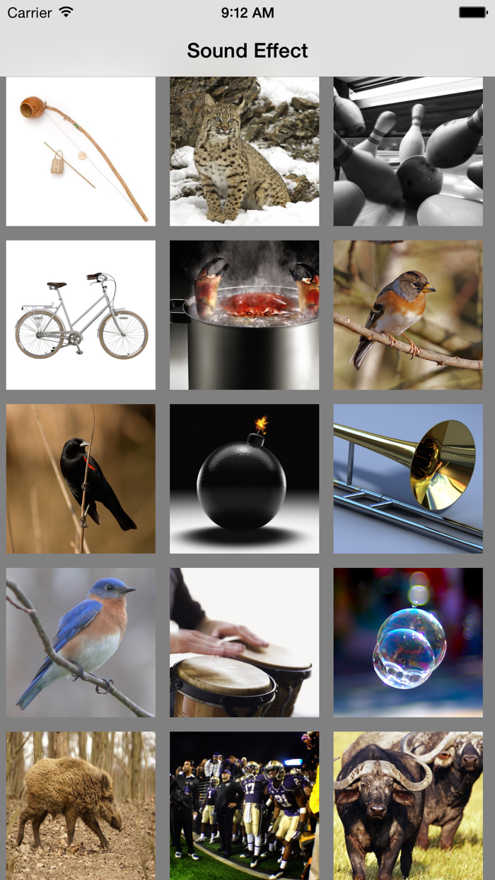 Free Musical Instruments Sounds for Baby