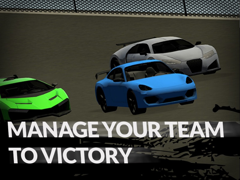 Racing Manager screenshot 8