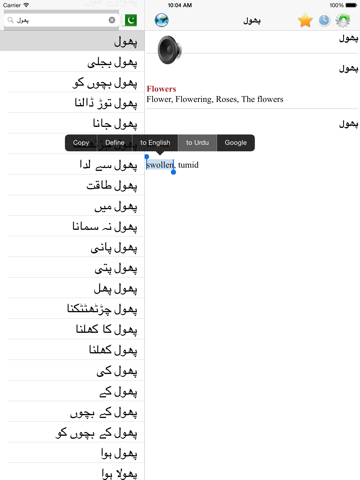 Screenshot #6 pour English Urdu best dictionary - انگریزی اردو لغت بہترین ترجمه