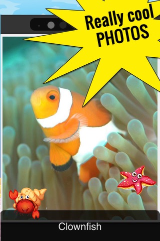 Funny Fish Games and Photos screenshot 2