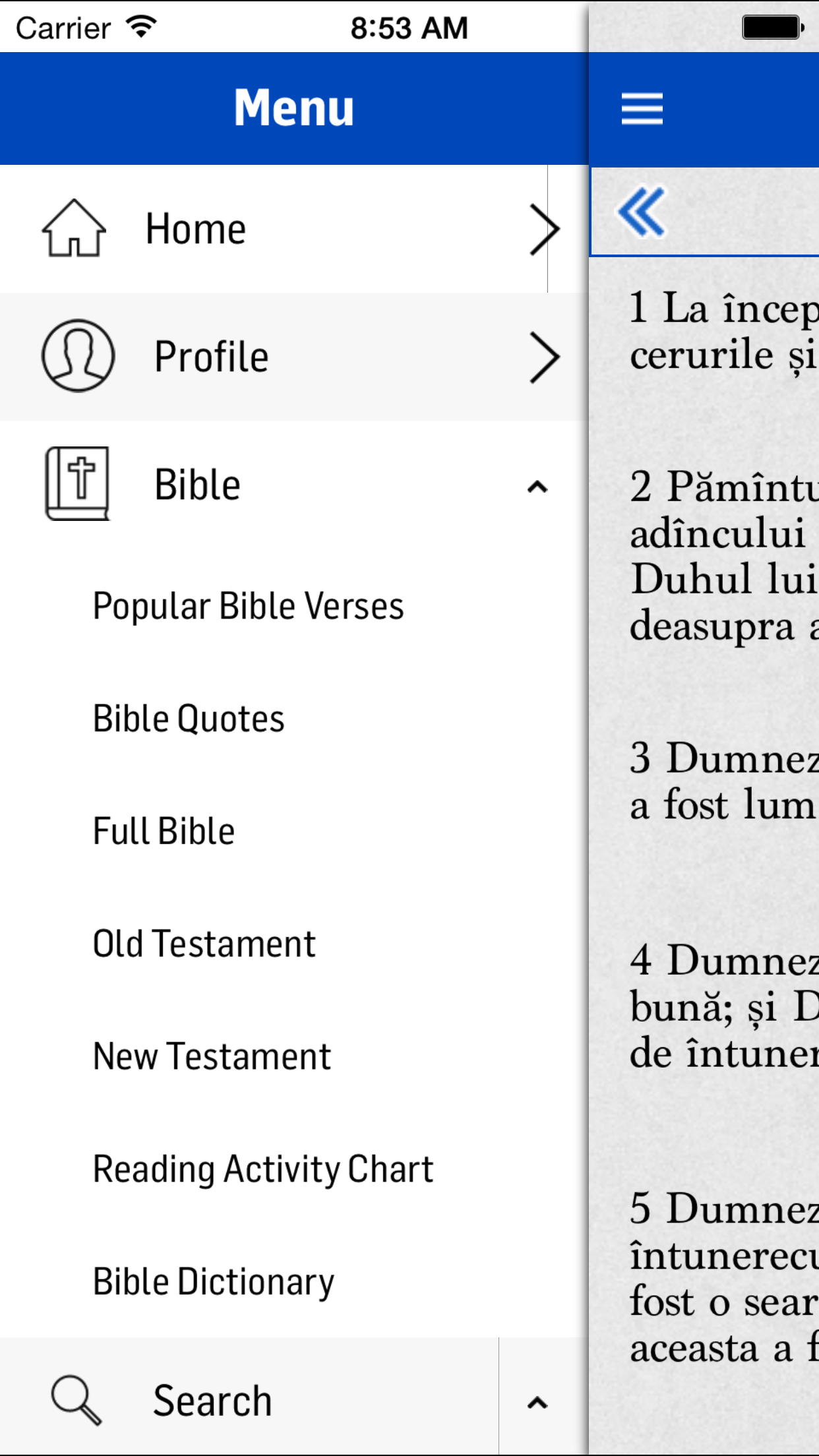 Romanian Bible
