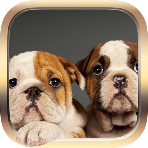 Pets Facts PRO - Trivia for Animal Lovers Icon