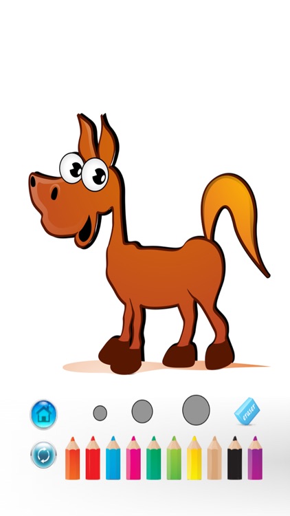 Pony Coloring Book