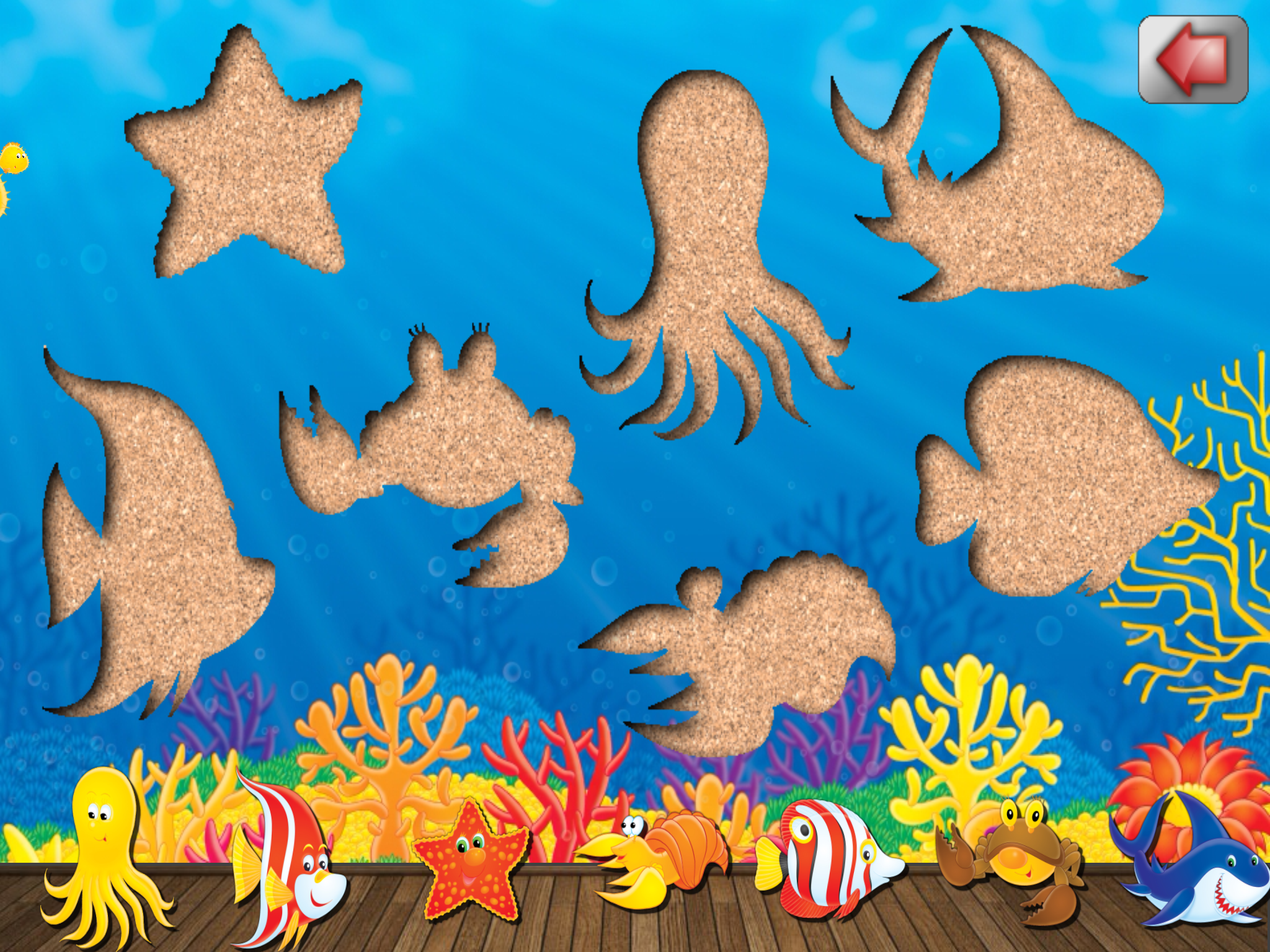 Ocean Animals