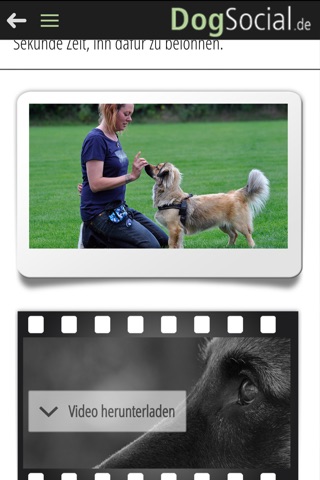 DogSocial Dog Training - Teaching the Basic Commands screenshot 4