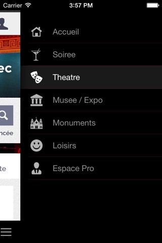 Placeminute : billet soirée, festival, concert, musée, théâtre ... screenshot 2