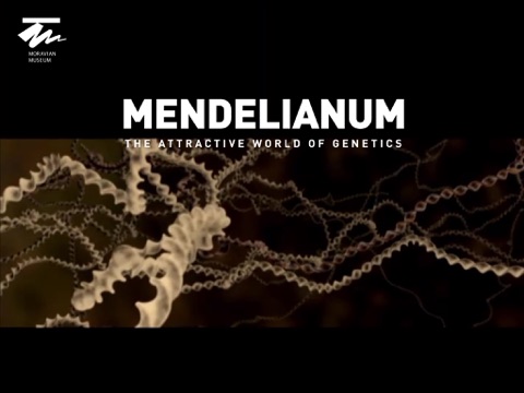 Screenshot #4 pour Mendelianum - the attractive world of genetics.
