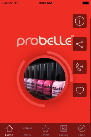 Probelle screenshot 2