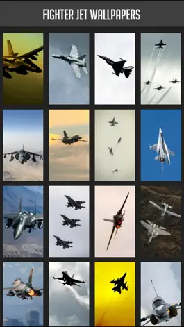 Game screenshot Fighter Jet Wallpaper mod apk