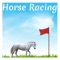 Horse Racing Casual Game