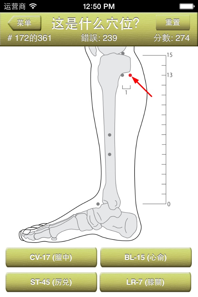 Acupuncture Points Quiz screenshot 4