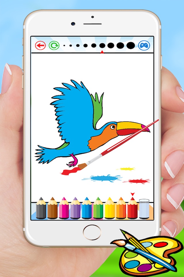 Bird Coloring Book for Kids - Children Drawing free games screenshot 2