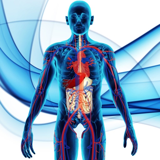 Fisiologia & Anatomia Atlas 3D icon