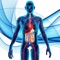 Una buona conoscenza della struttura e la funzione del corpo umano in tutte le sue sfumature è il fondamento della formazione medica