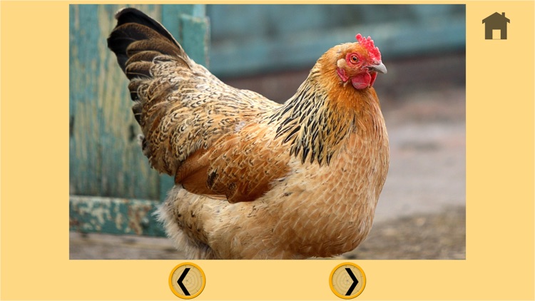 farm animals and games for kids - free game screenshot-4