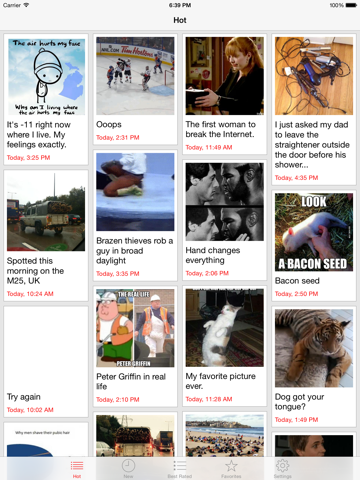 Screenshot #4 pour Fun Began - Funny pictures and videos