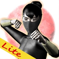 Deadly Mira: Ninja Fighting Lite apk