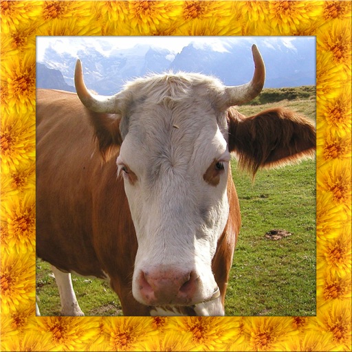 Wild Cow Simulator 3D Icon