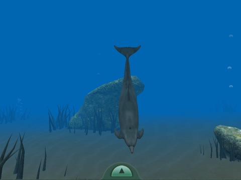 Dolphin Dreams screenshot 4