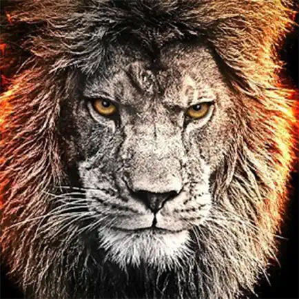 Safari Lion Revenge Читы