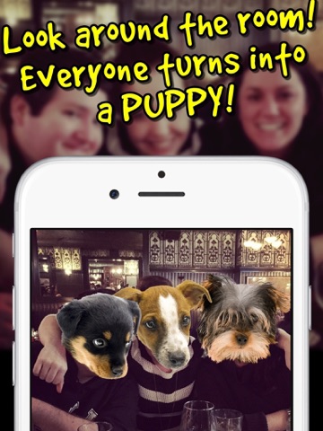 Screenshot #5 pour Puppygram - Turn Friends Into Puppy Dogs Instantly and more!