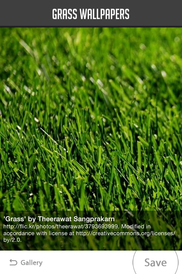 Grass Wallpapers screenshot 2