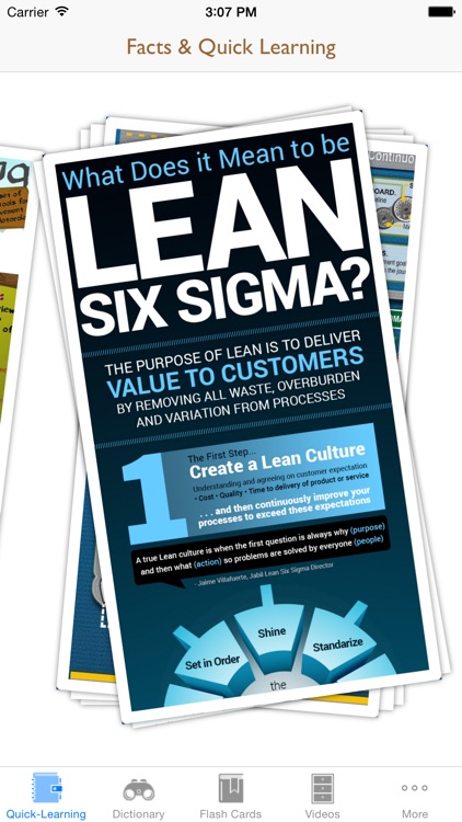 6 Sigma Guidance: Six Sigma Cheat Sheets with Glossary and Free Video Lessons
