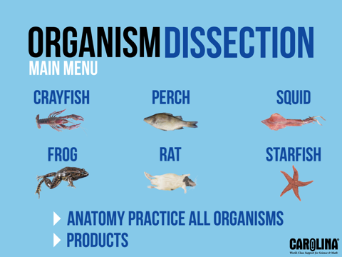 Screenshot #4 pour Organism Dissection