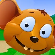 Activities of Silly Mouse Race