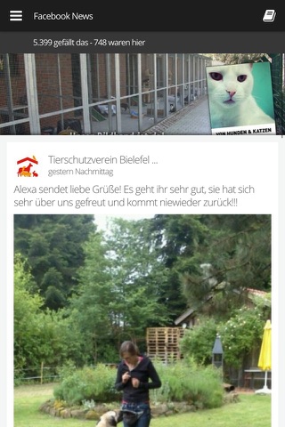 Tierschutzverein Bielefeld screenshot 2