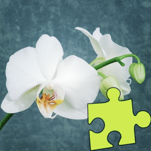 Flowers Best Puzzles icon