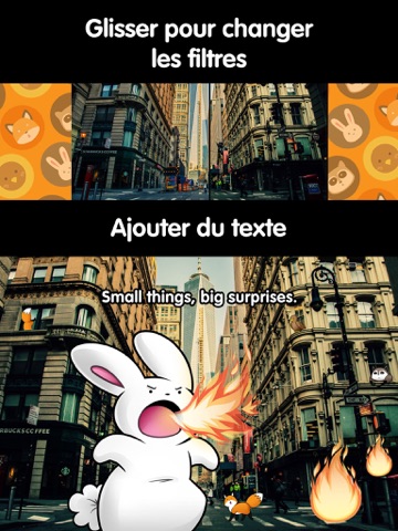 Screenshot #6 pour Le renard nigaud : ajoutez un renard et d'adorables animaux à vos photos ! Gratuitement