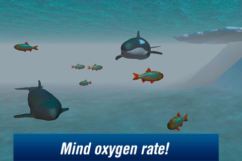 Killer Whale: Orca Simulator 3D screenshot 4