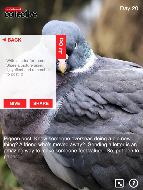 Count Your Blessings HD screenshot-4