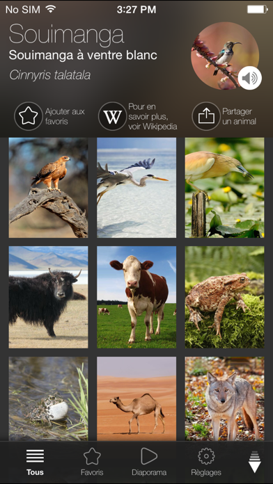Screenshot #1 pour Animaux du Monde Gratuit : Sons et Photos