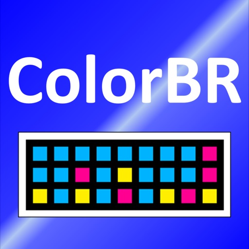 Color Barcode R Icon