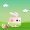 Easter Egg Bunny Runner HD