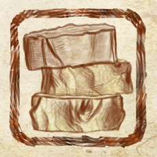 Activities of Woods Up