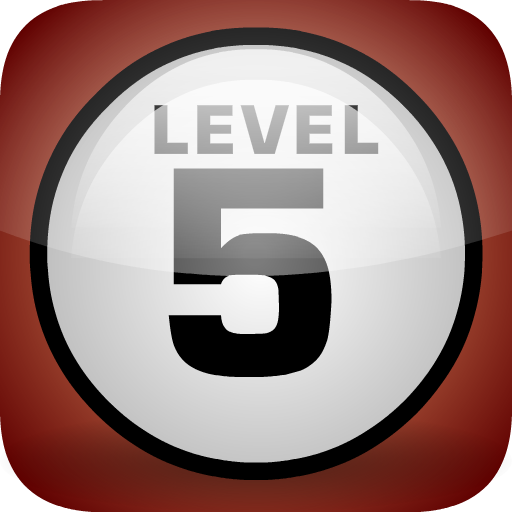 Level 5