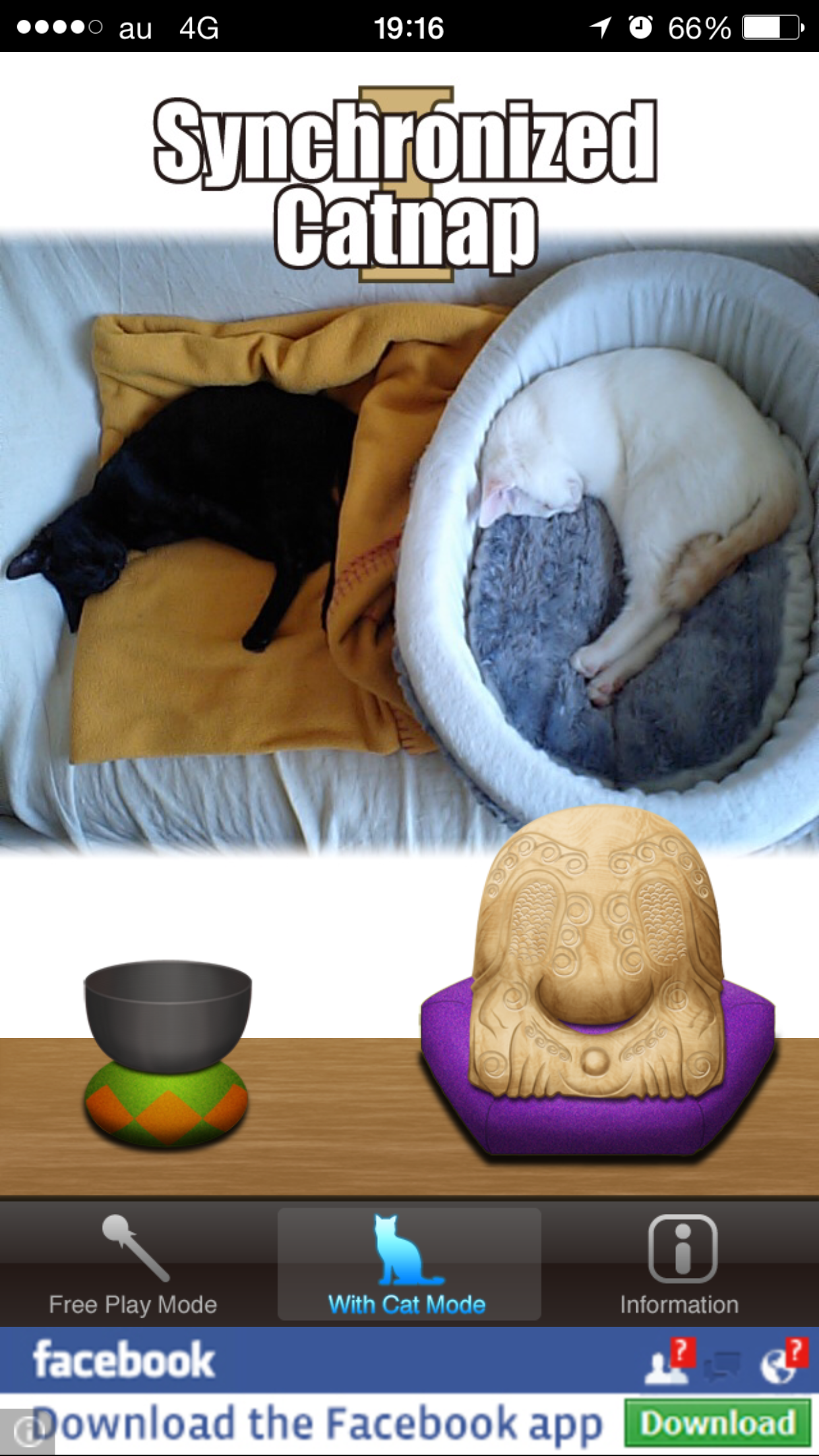 Mokugyo(With Cat)