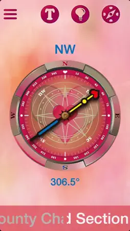 Pink Direction screenshot 3