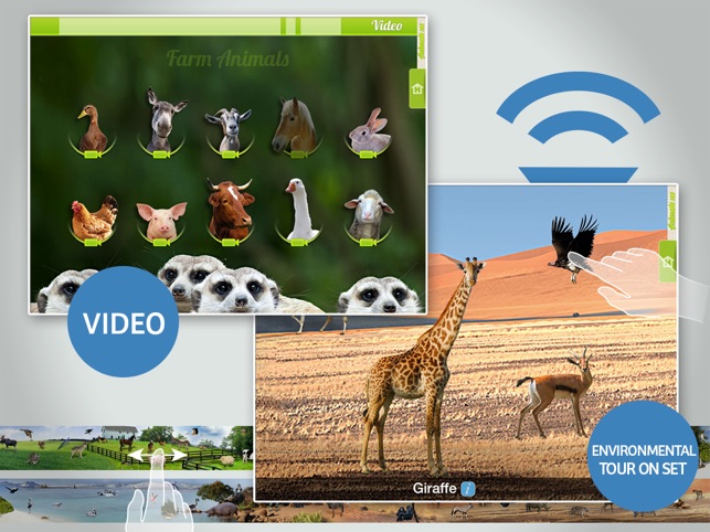 Animals 100 - Real Animals(圖4)-速報App