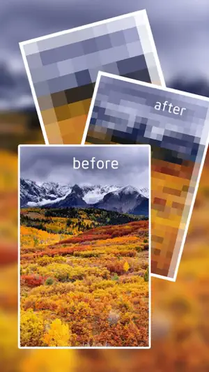 Blur Pic & Censor My Photo screenshot 3