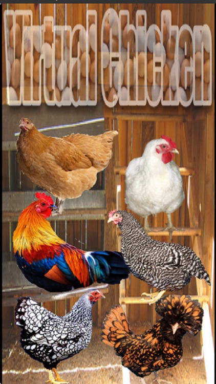 Virtual Chicken Fun by Margaret Hughes