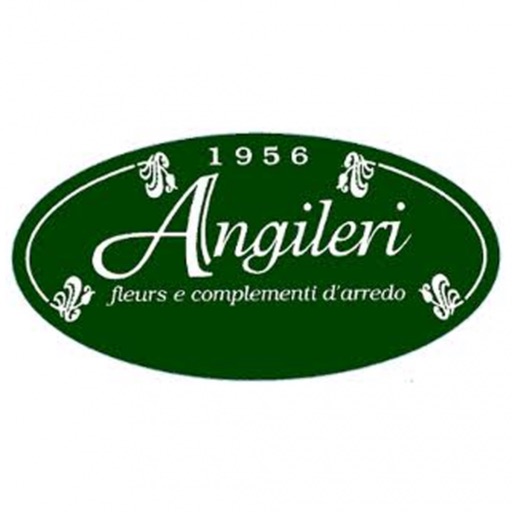 Angileri