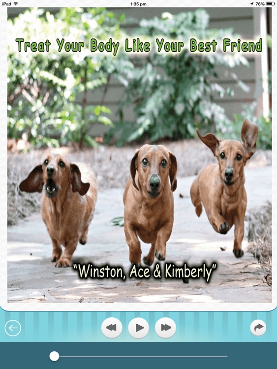 Happy Kids-Happy Pets