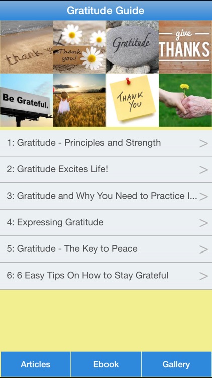 Gratitude Guide - Make You Happy by Being Thankful and Appreciative Now!