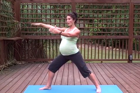 Pregnancy Workouts screenshot 4